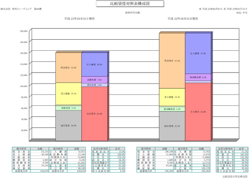  比較貸借対照表構成図.jpg